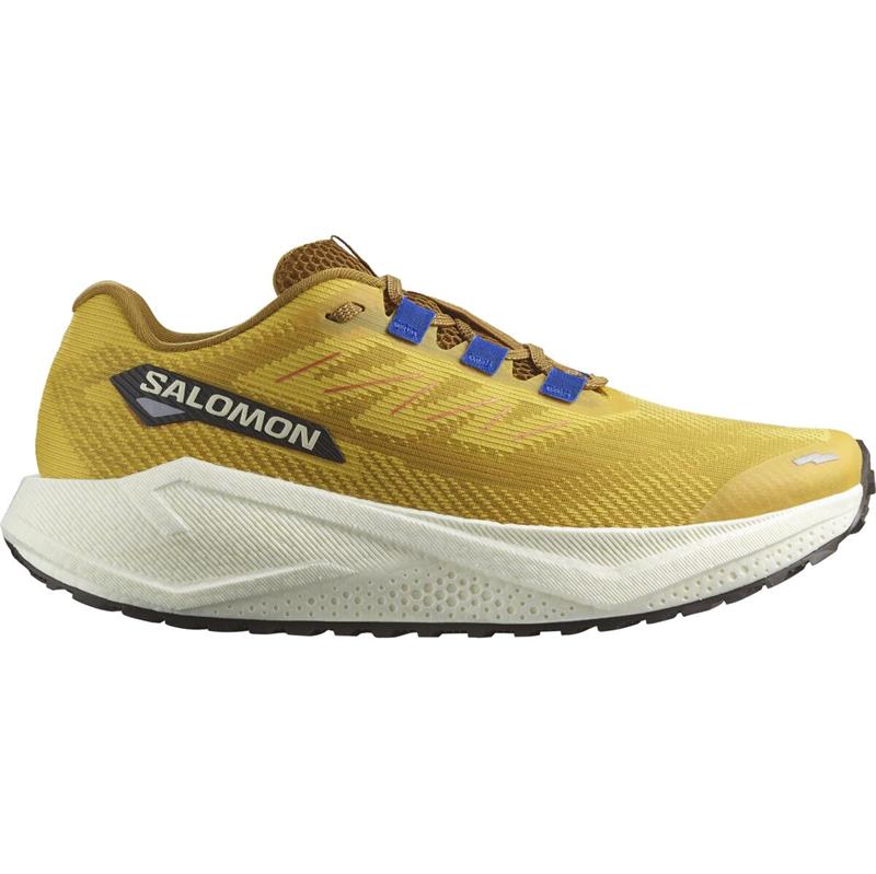 Salomon Aero Blaze 3 Gravel Herre løbesko